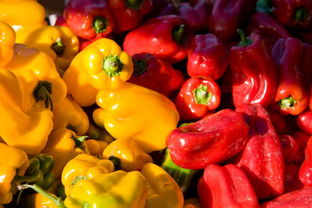 安徽食藥監局多措并舉，扎實推進食用農產品交易市場食品安全規范化建設